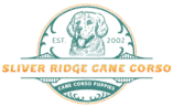 Silver Ridge Cane Corso